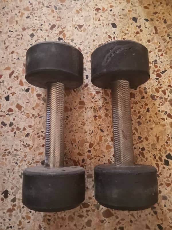 1 kg dumbbell pair 2