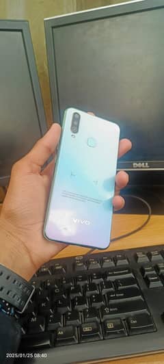 Vivo