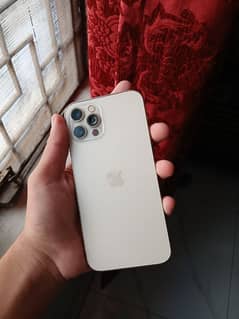 iphone 12 pro