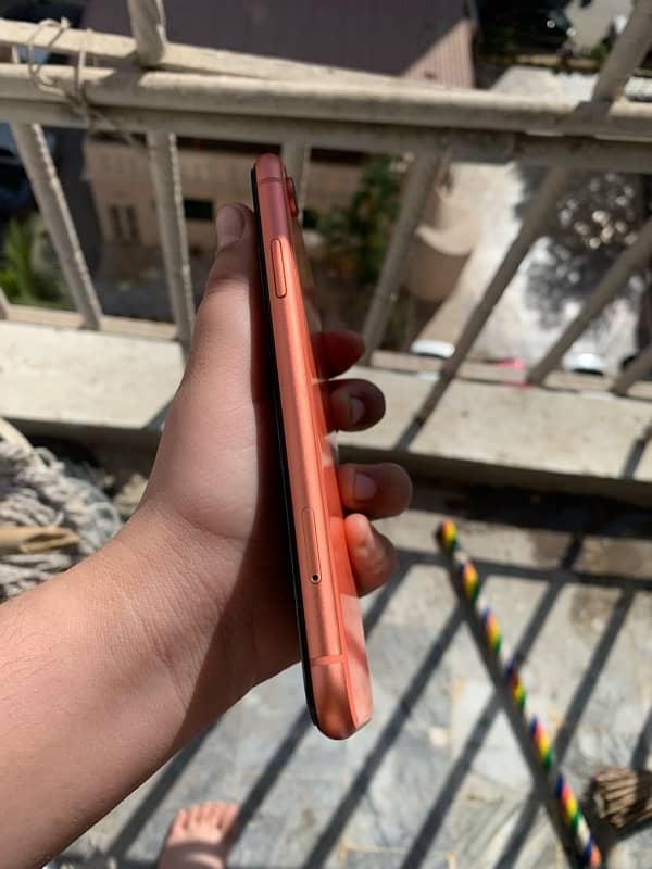 iphone xr 1