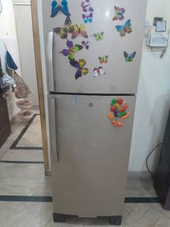 haier fridge