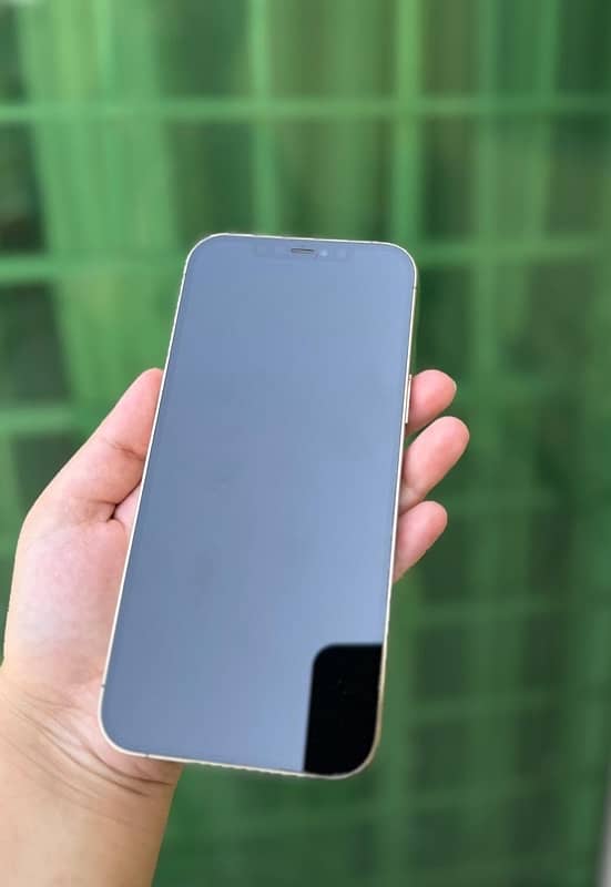 iphone 12pro max 256gb pta approved 1