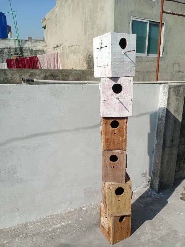 kikar box/love birds box/java box 0313.442. 13.14 2