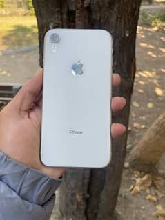 iPhone XR