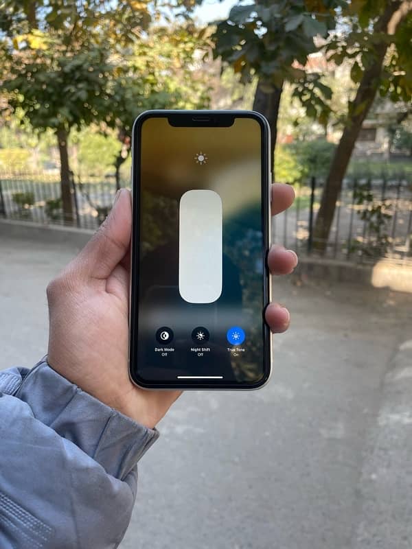 iPhone XR 6