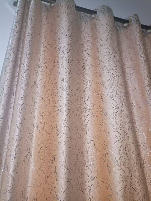 brand new curtains 2