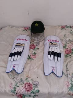 Hard Ball cricket kit