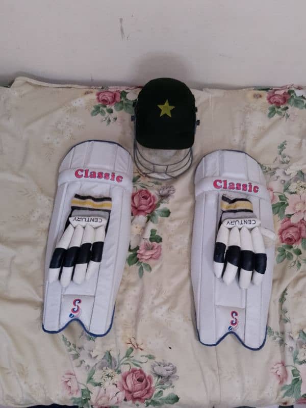 Hard Ball cricket kit 1