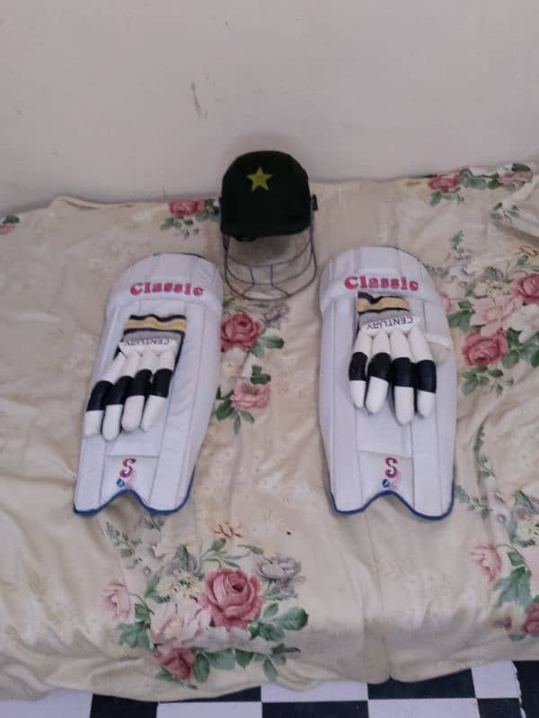 Hard Ball cricket kit 2