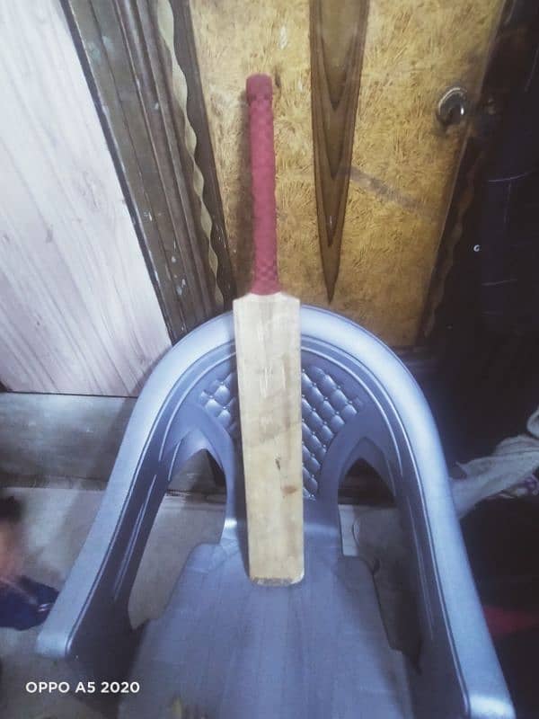 hard ball bat cricket 5