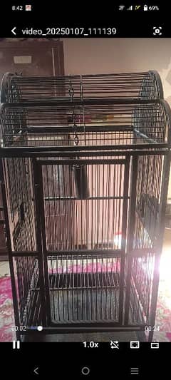 grey parrot cage