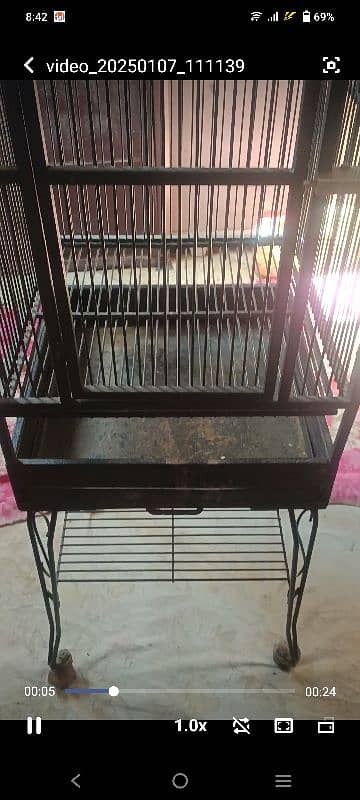 grey parrot cage 1