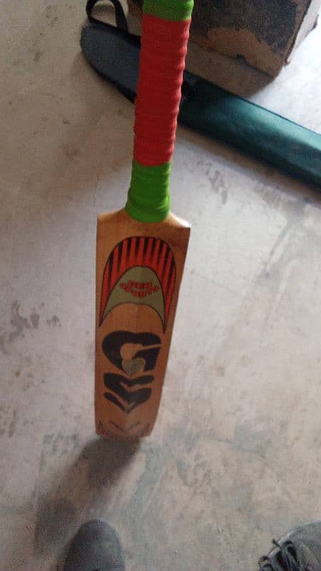 hard ball cricket bat 8