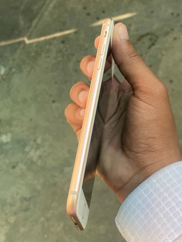 iPhone 8Plus (PTA Water Pack) (Urgent sale) 5