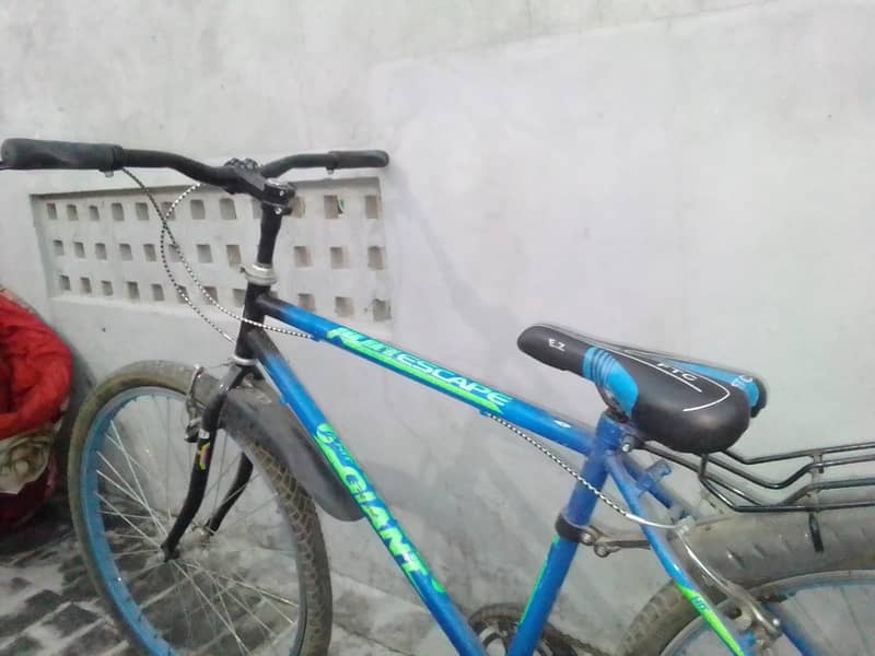 cycle for sale 1