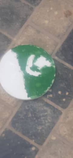 pakistan painting