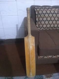 hard ball cricket bat