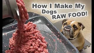 Dogs and cats Food / healthy pets food / dogs qeema / pets home food