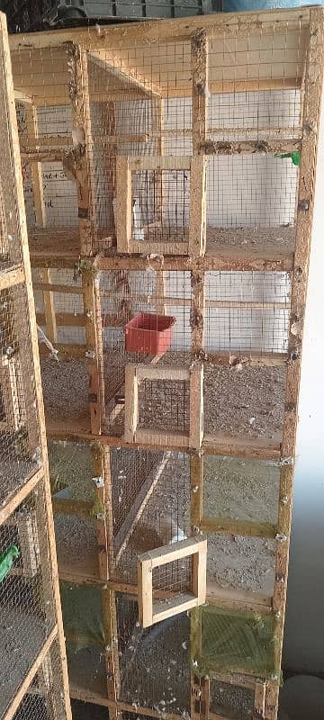 10 portion wood cages condition 10 by 10 2