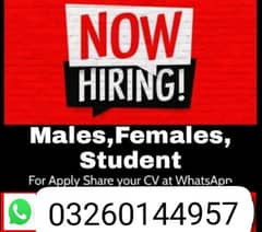 male female and students require for office work available