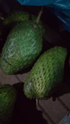 Fresh Soursop (Anti Cancer Fruit)