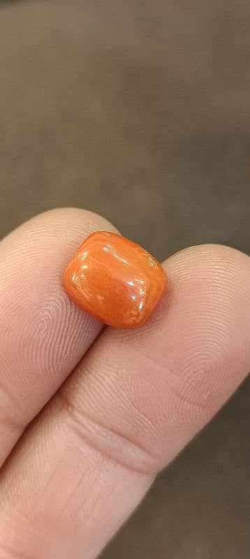 Red coral Marjan(مرجان) red color 100% natural Original gemstone AAA+ 0