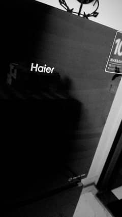 Haier