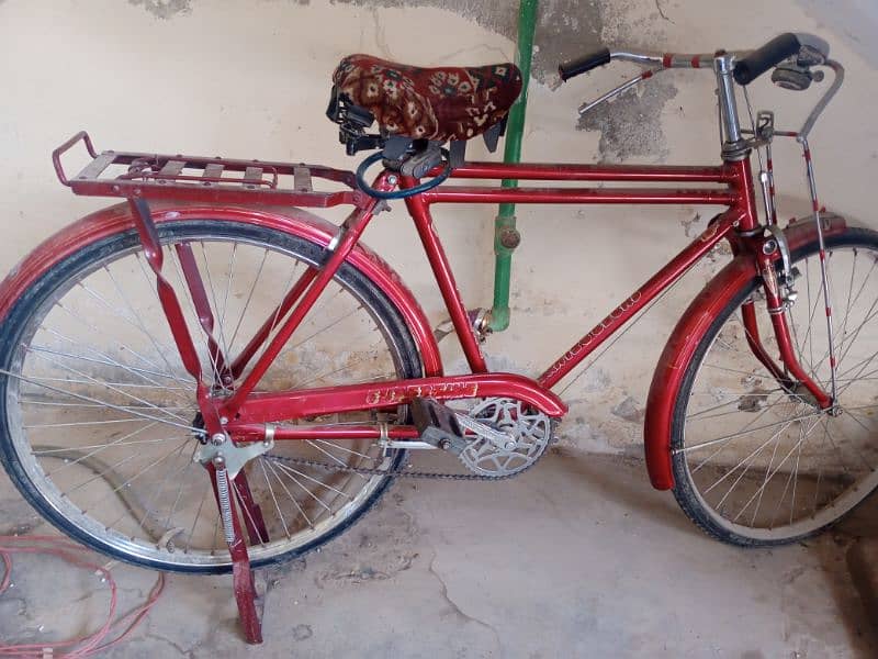 sohrab bicycle 2