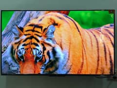 TCL LED | 4K HDR Tv | HDR 10 | 43 inches | Dolby audio