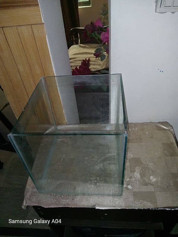 fish aquarium and fish jar and fish bowl 0