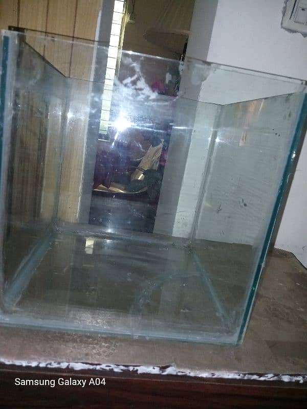 fish aquarium and fish jar and fish bowl 1