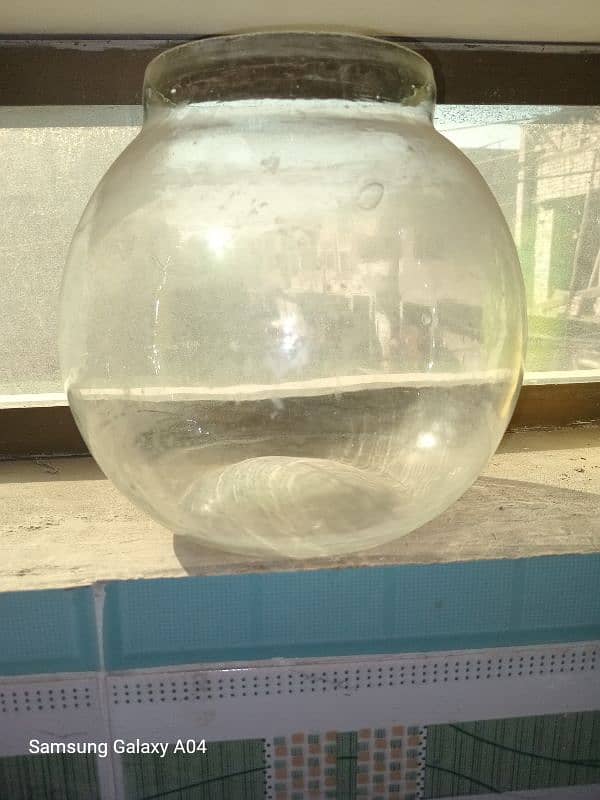 fish aquarium and fish jar and fish bowl 2