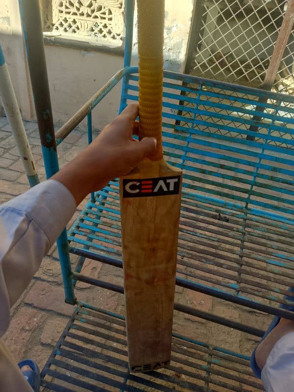 Hardball bat  English willow wood best hitter 1