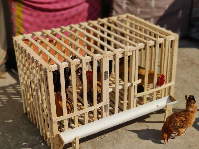 Hens Cage Wooden New 1