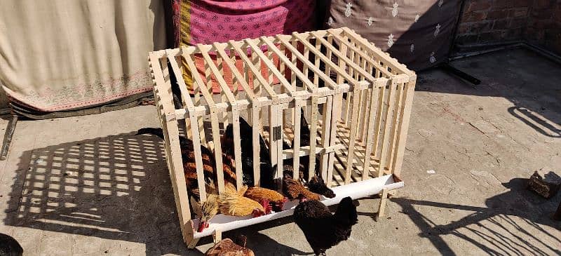 Hens Cage Wooden New 2