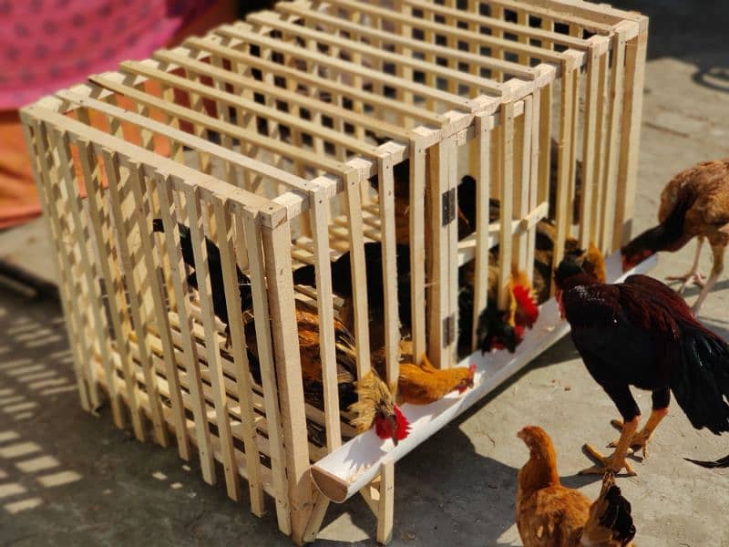 Hens Cage Wooden New 3