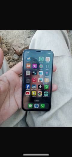 iPhone X 256