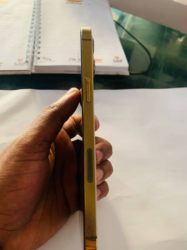 iPhone 12 Pro Max gold 256gb jv 3