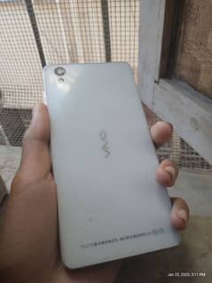 VIVO