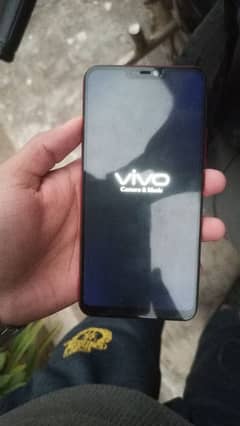 Vivo