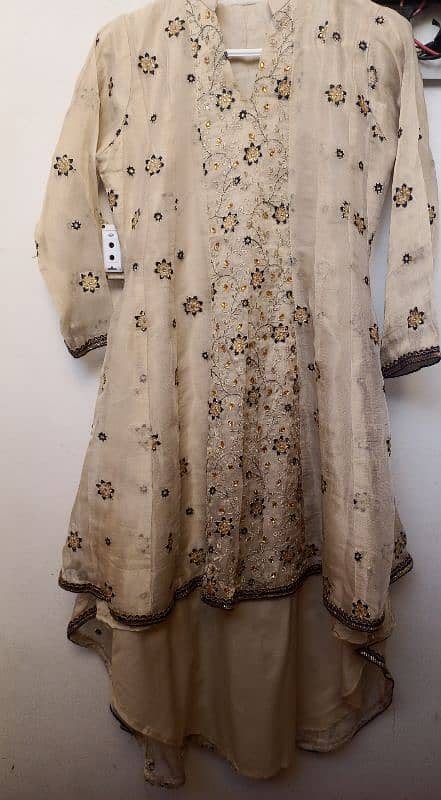 Beige Gold Ghaghra 2