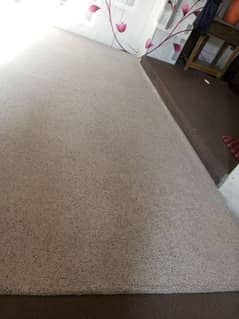 carpet condition good