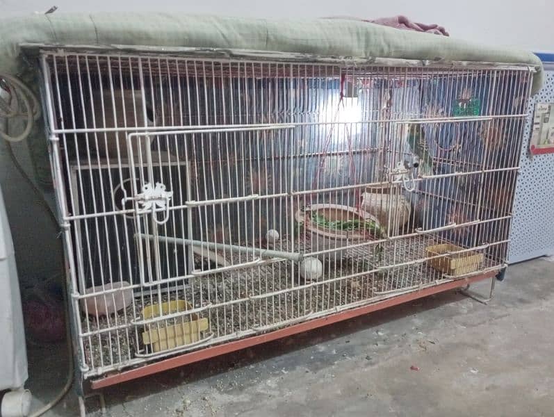 Cage With Budgies For Sale . 0