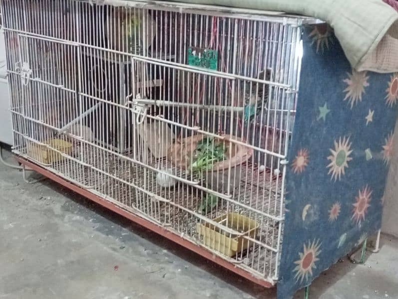 Cage With Budgies For Sale . 1