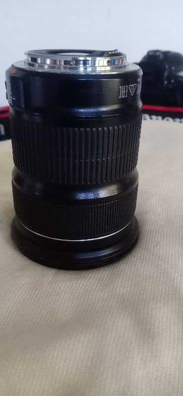 canon  stm 24-105 6