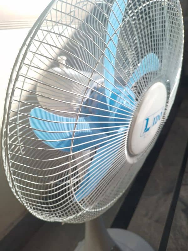 Fan for sale 6