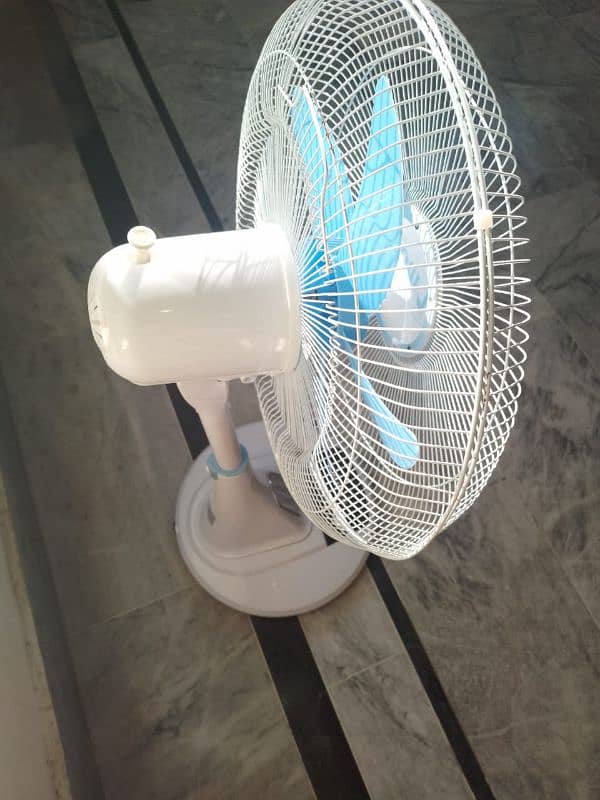 Fan for sale 7