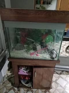 Fish Aquarium