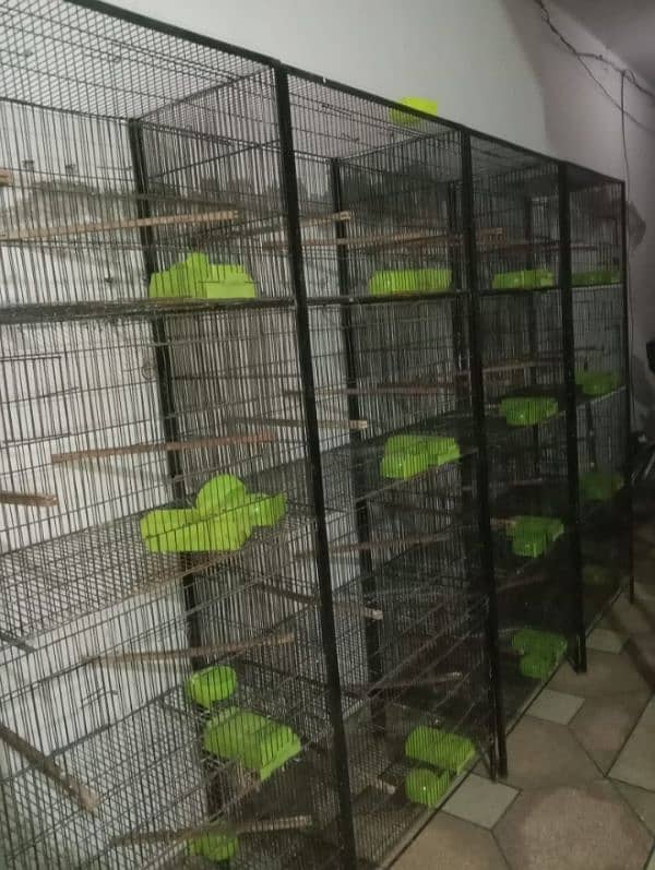 Lovebirds Cage for Sale. 0