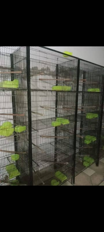 Lovebirds Cage for Sale. 1